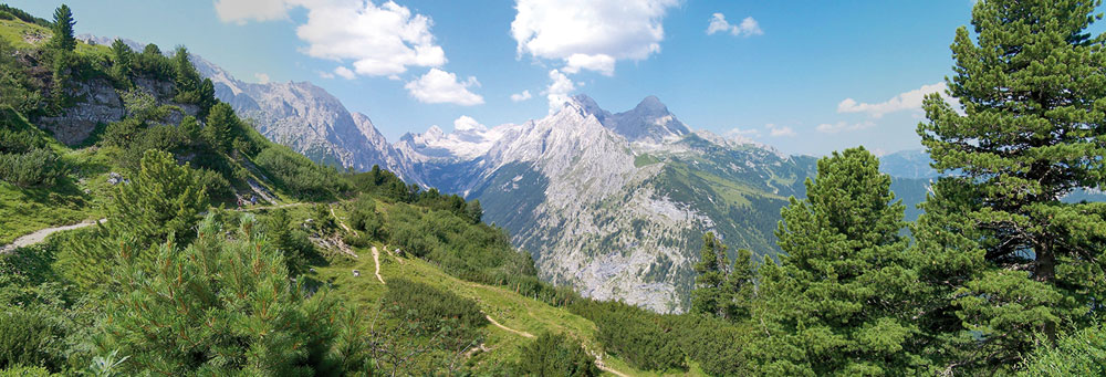 Die ZIRBE ist die „Königin der Alpen“, und ihr Holz hat einen besonderen Einfluss auf uns Menschen. Es fördert sowohl die Belastungs- als auch die Erholungsfähigkeit...